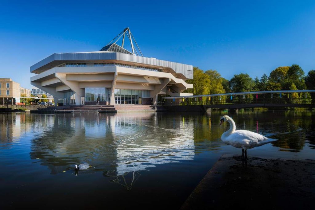 York University