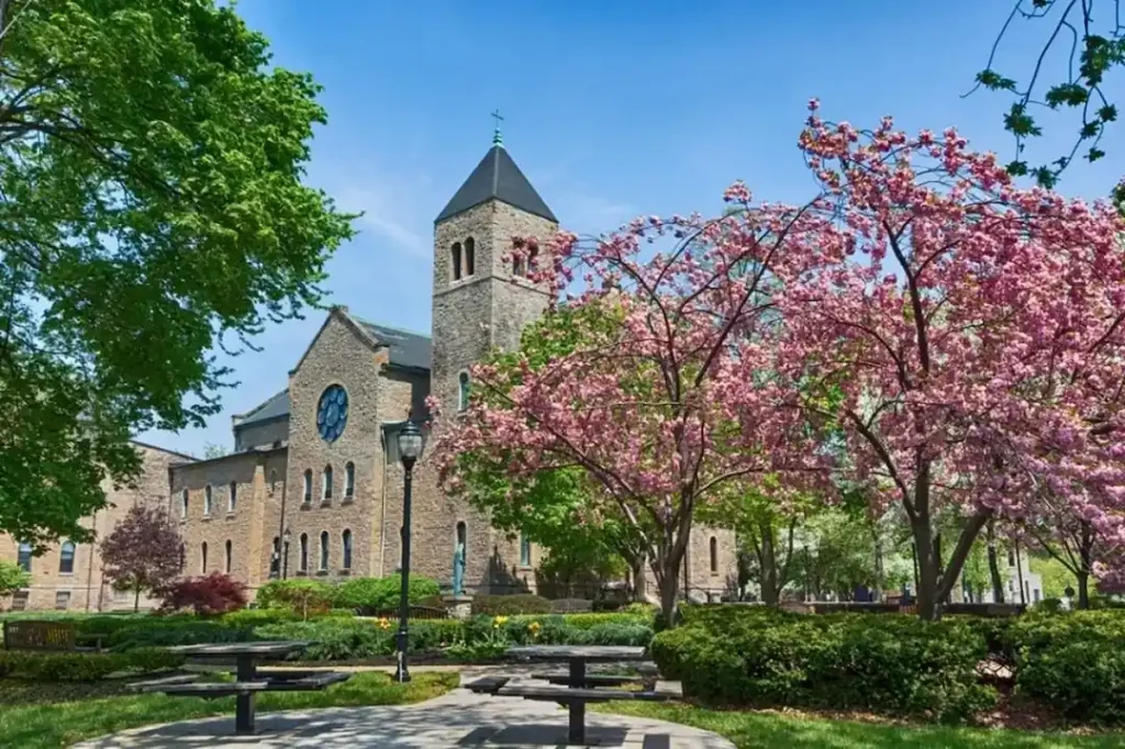 Niagara University studens